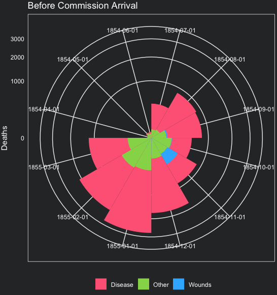 Florence Coxcomb Chart - before 