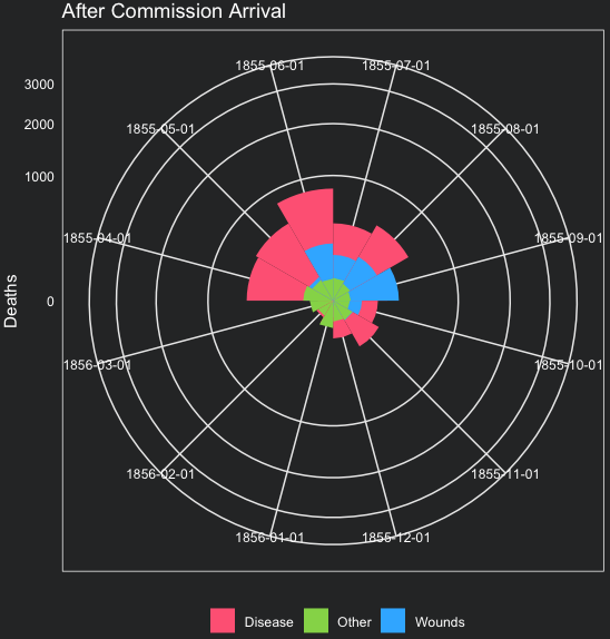 Florence Coxcomb Chart - after