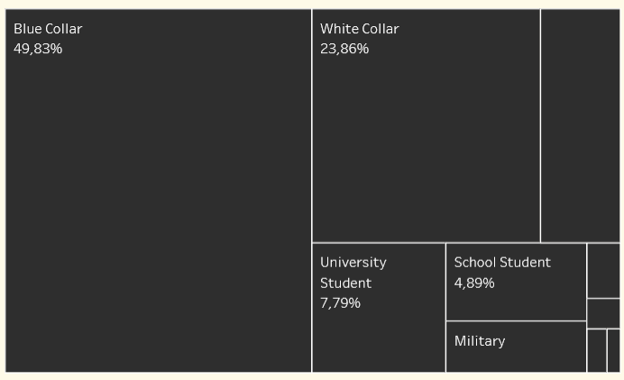 Victims by Occupation. 